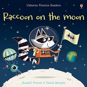 Raccoon on the moon