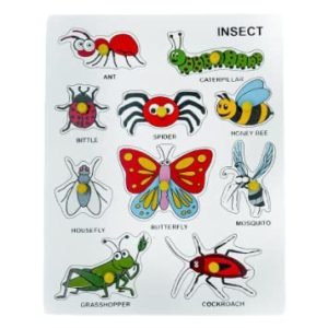 Insect Peg Board