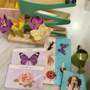 Curious Cub Kit Level 8