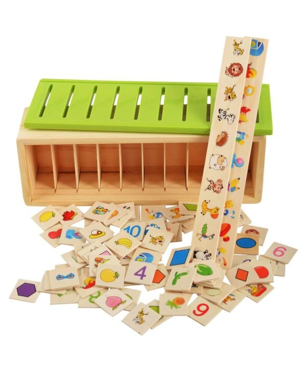Knowledge Classification Box - JollyJoey