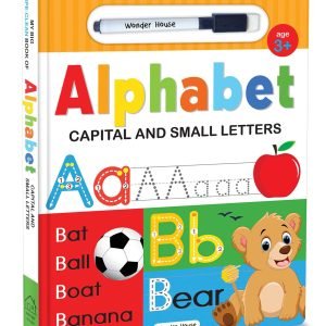 My Big Wipe And Clean Book of Alphabet